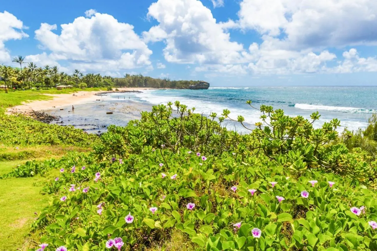 Poipu Sands 214 Lägenhet Kipu USA